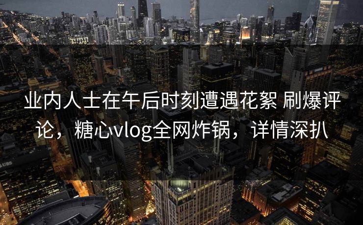 业内人士在午后时刻遭遇花絮 刷爆评论，糖心vlog全网炸锅，详情深扒