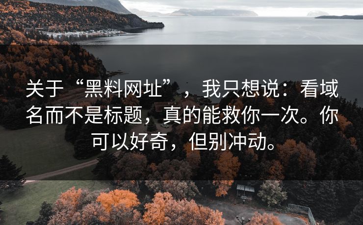 关于“黑料网址”,我只想说:看域名而不是标题,真的能救你一次。你可以好奇,但别冲动。 关于“黑料网址”,我只想说:看域名而不是标题,真的能救你一次。你可以好奇,但别冲动。