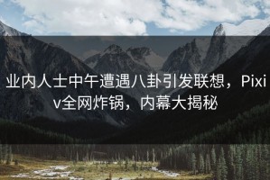 业内人士中午遭遇八卦引发联想，Pixiv全网炸锅，内幕大揭秘