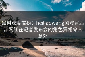 黑料深度揭秘：heiliaowang风波背后，网红在记者发布会的角色异常令人意外