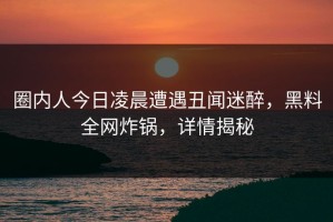 圈内人今日凌晨遭遇丑闻迷醉，黑料全网炸锅，详情揭秘