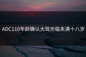 ADC110年龄确认大驾光临未满十八岁