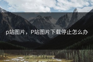 p站图片，P站图片下载停止怎么办