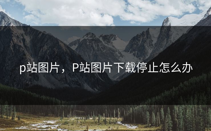 p站图片，P站图片下载停止怎么办